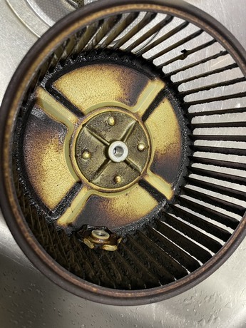 S__1237012_0.jpgのサムネイル画像